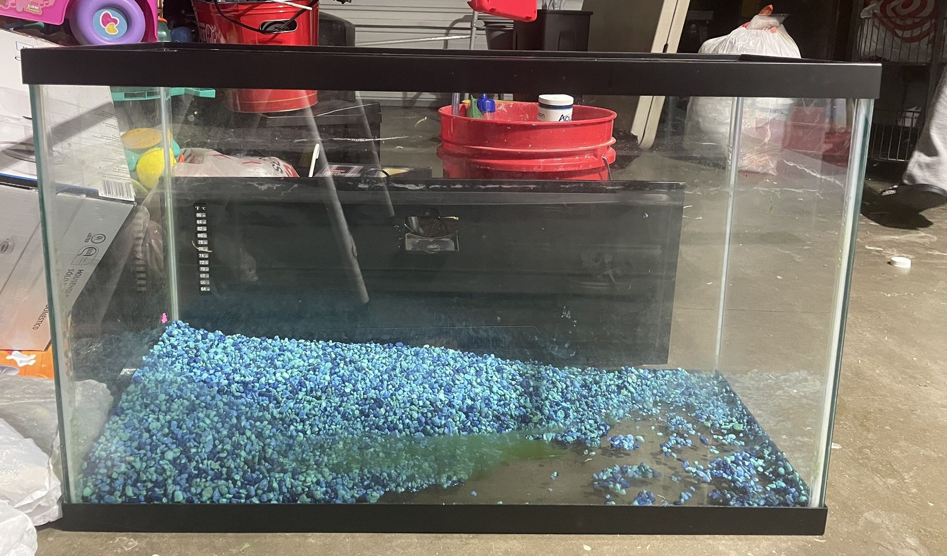 55 Gallon Fish Tank With Accessories