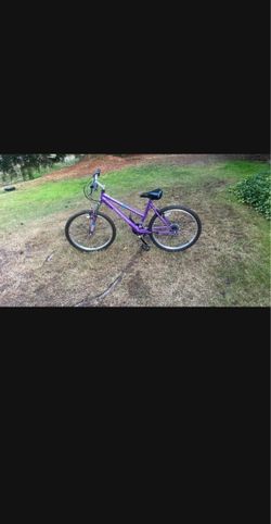 Purple Mountain Bike