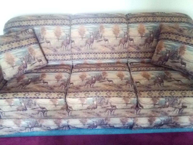 Deer Pattern Couch