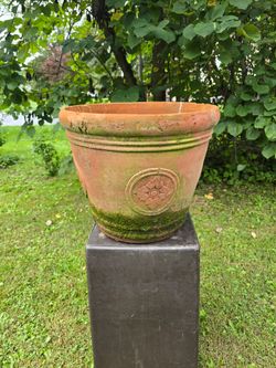 Flower Pot