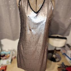 Romeo And Juliet Silver Sequins Dress