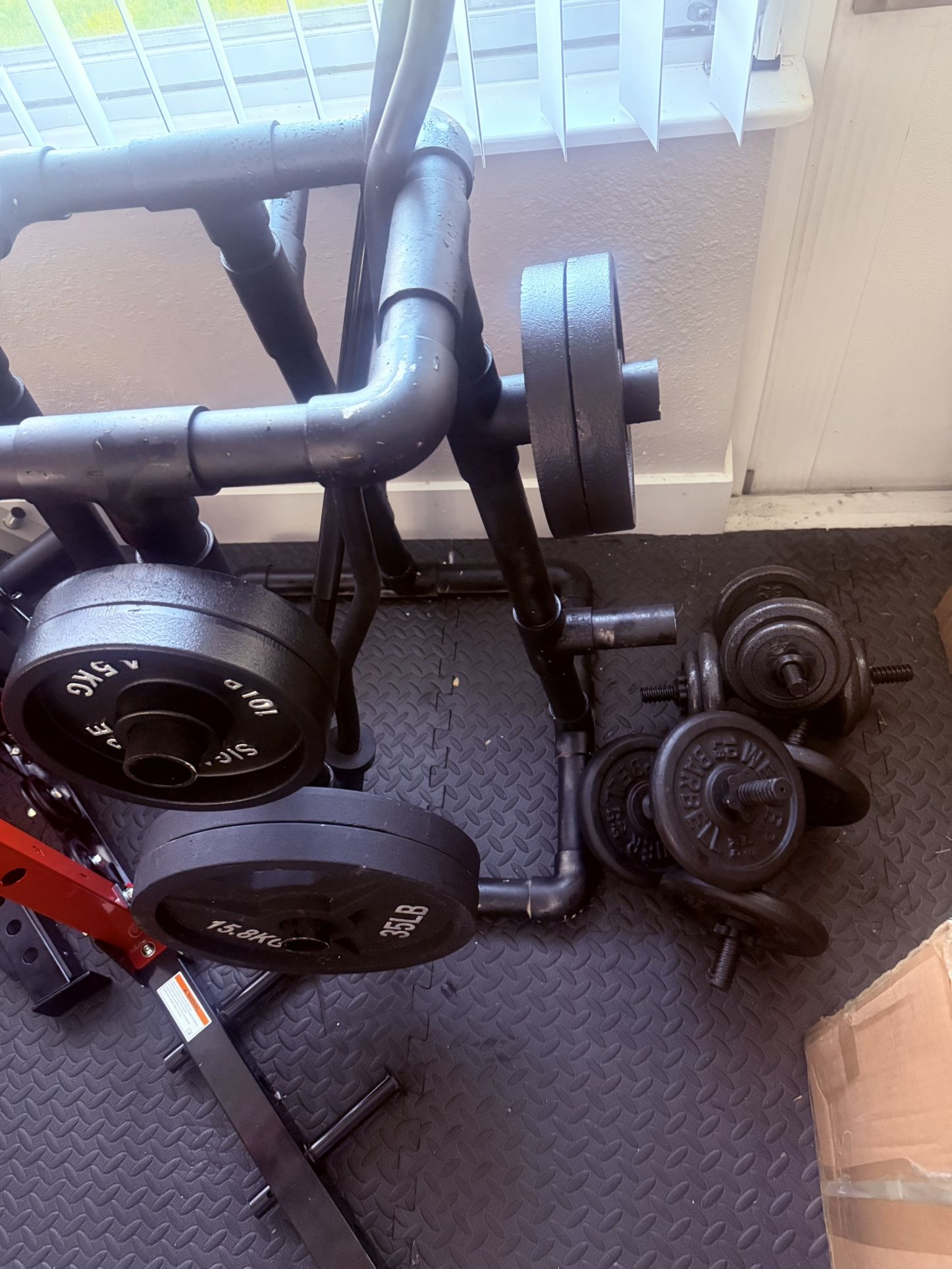 Dumbbells,Straight Bar, Curl Bar. And Weights