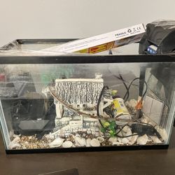 10 Gallon Aquarium With Accessories 