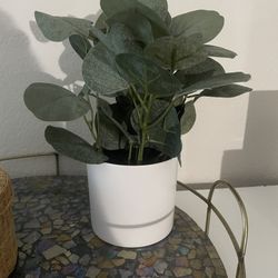 Faux Plant 