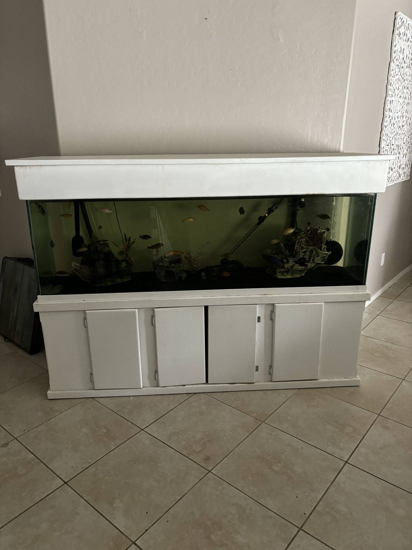 150 Gallon Fish Tank