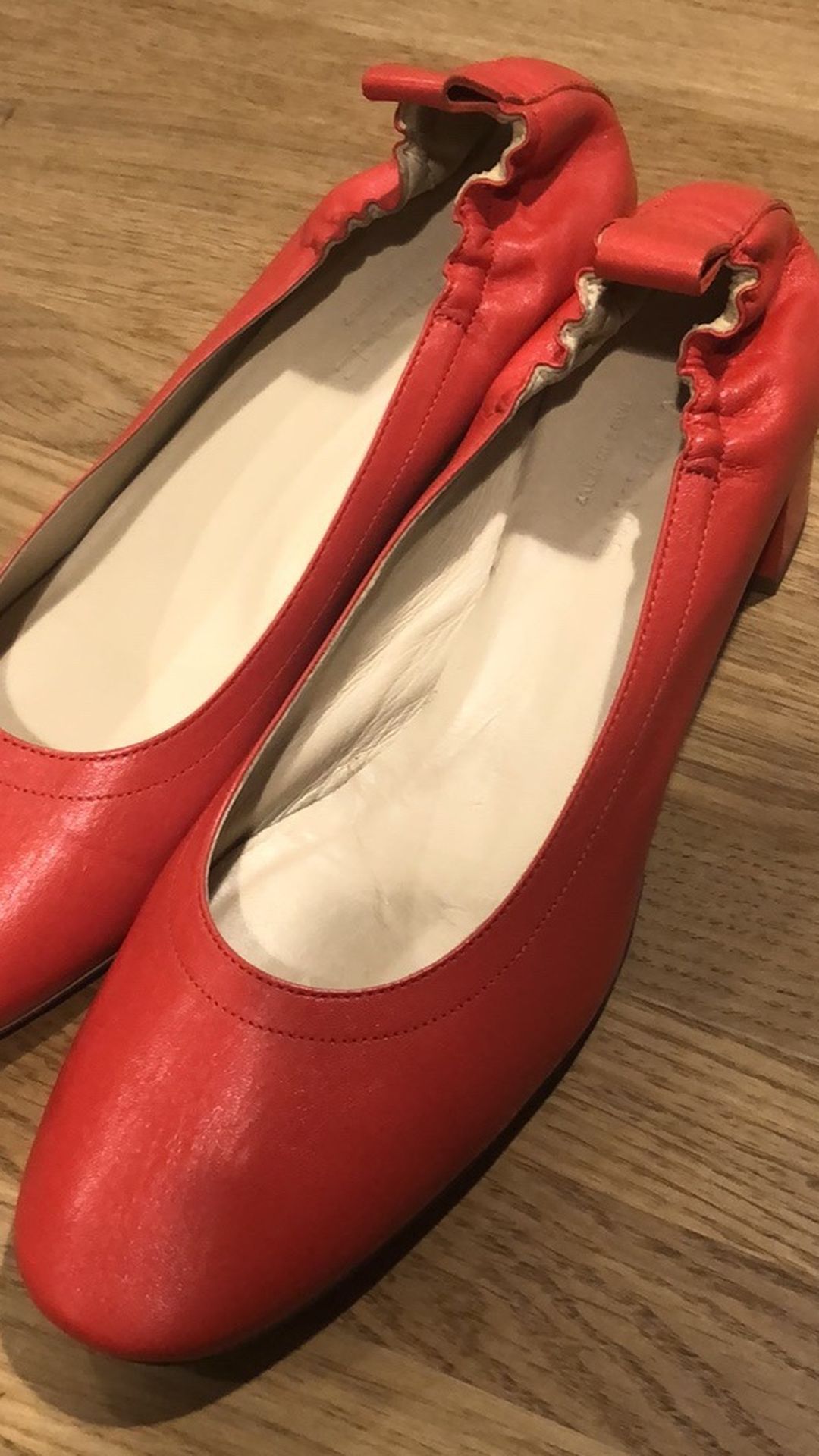 Everlane Day Heel NWOT