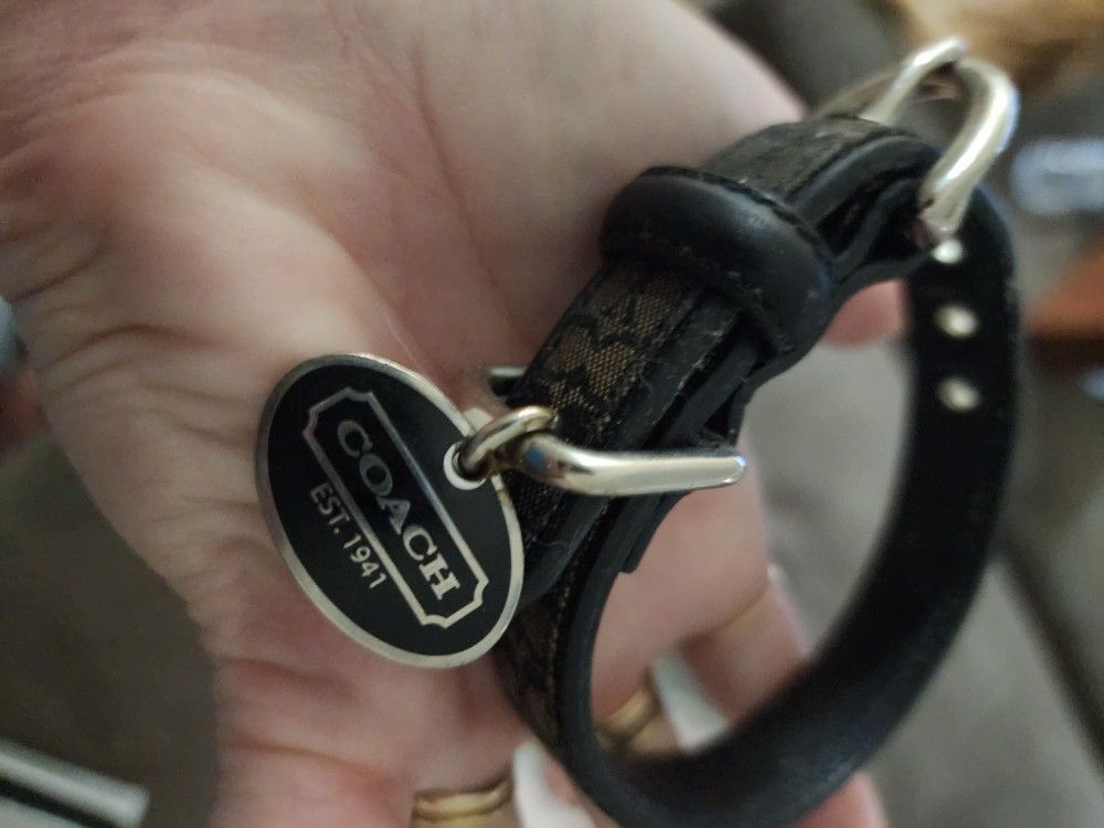 Coach Dog Collar