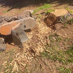 Stump Grinding 