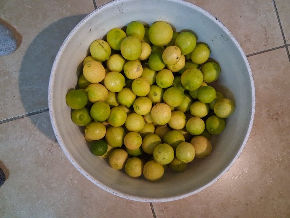 Juicy Ripened Organic Key Limes