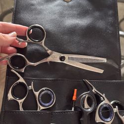 Shark Fin Student Shears Set