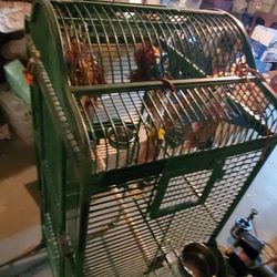 Bird Cage Large