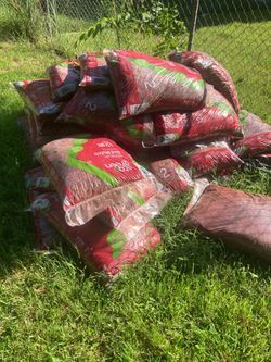Red mulch cedar
