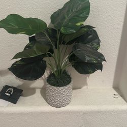 Fake Plant