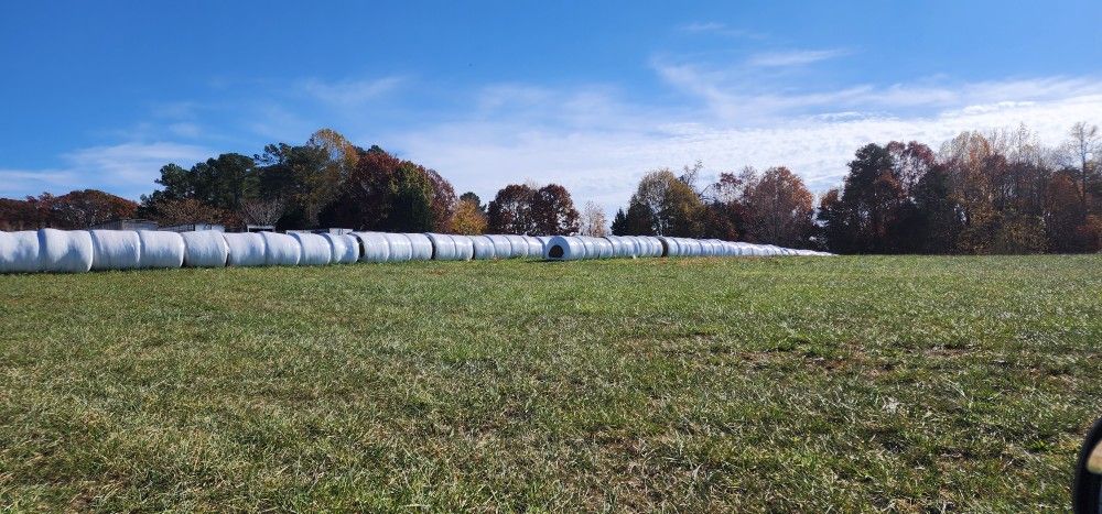 hay