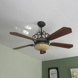 Indoor ceiling fan with light