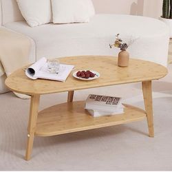 Modern Coffee Table With Storage Shelf