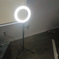 Content Creator Light 