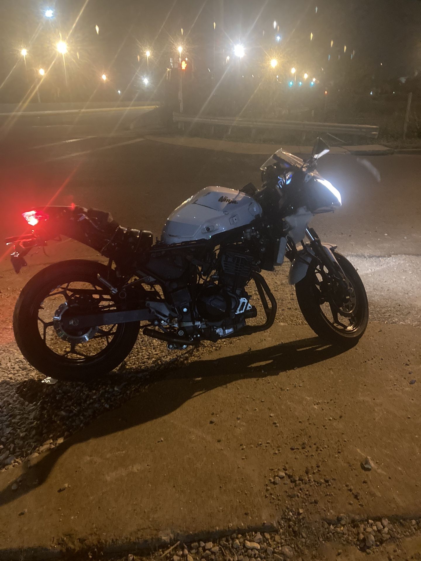 Wrecked Ninja 300