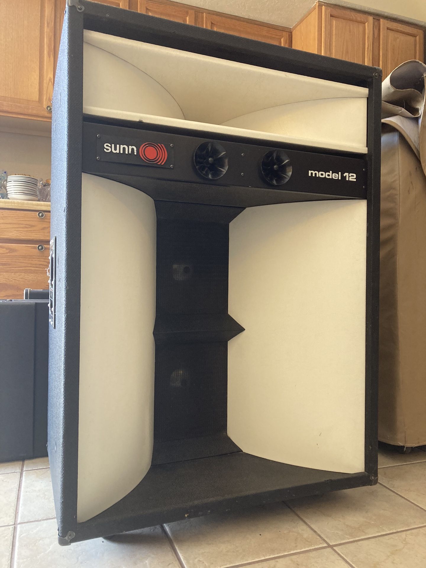 Sunn Speakers Vintage