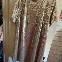 Gold Sequin Dress 