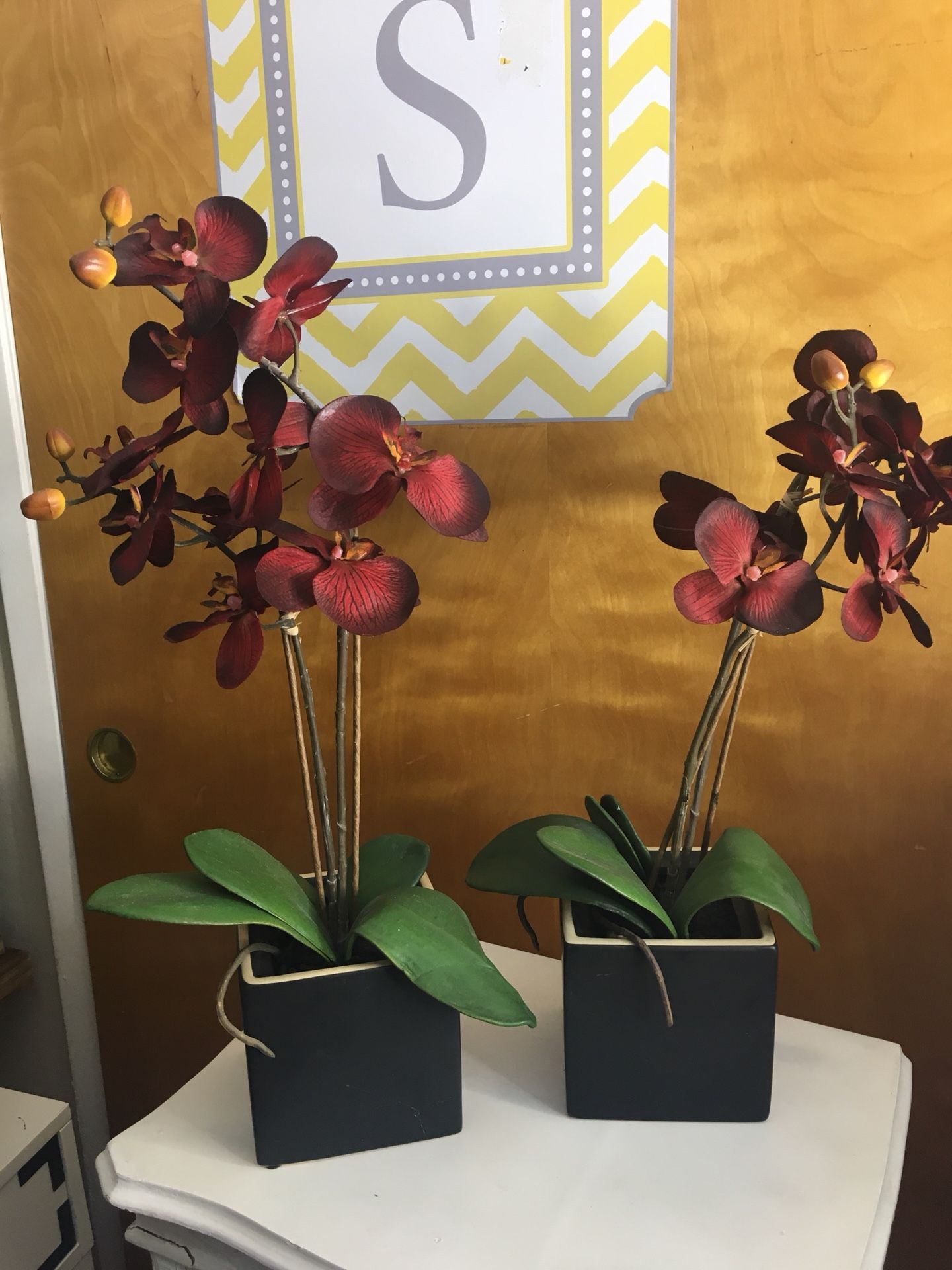 Set of 2 Brand new