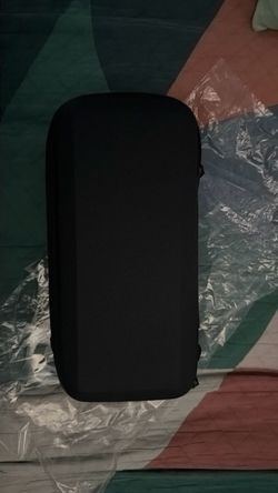 Carrying case for switch
