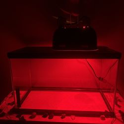 Dual Lamp for Tank w/ Light