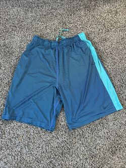 Nike DriFit Shorts sz Large