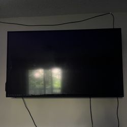 Vizio TV (55 Inch)