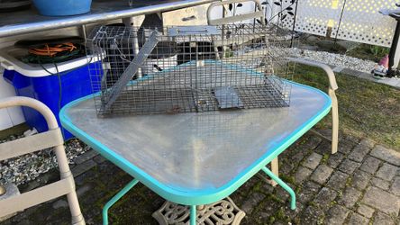 Live wildlife animal trap