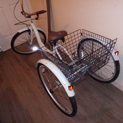 Adult Trike