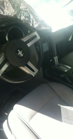 Mustang