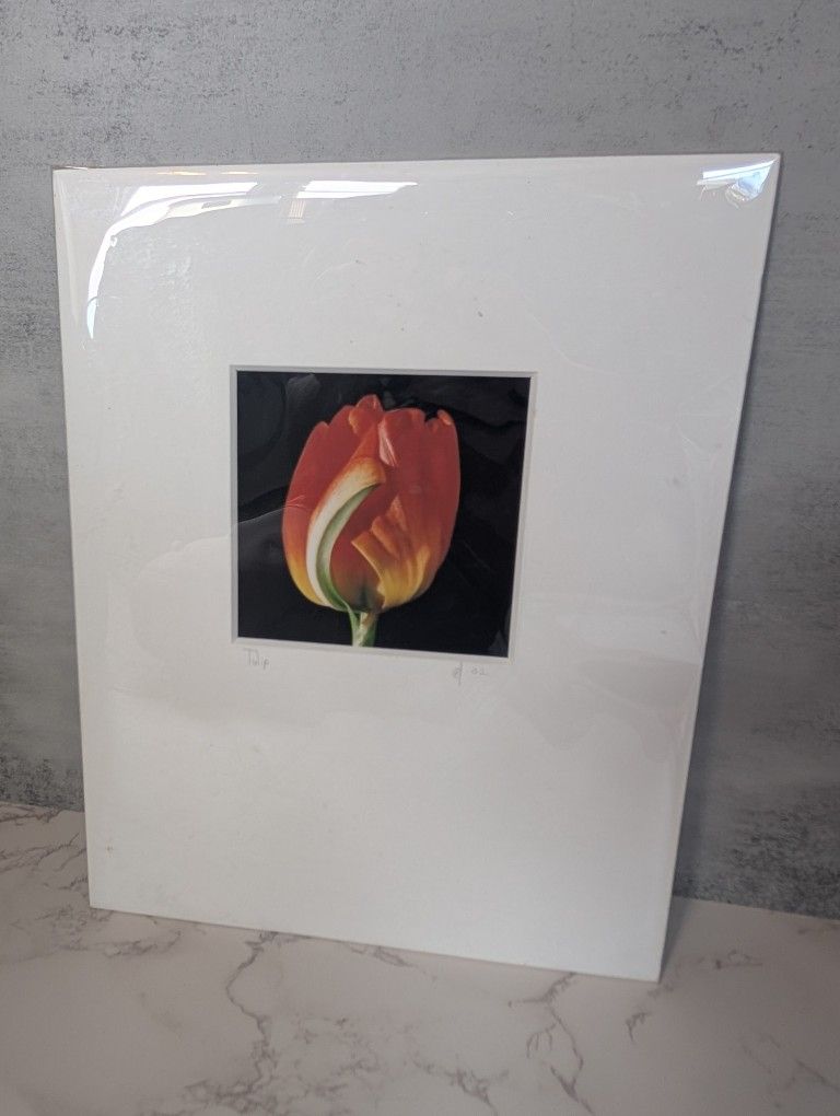Tulip Print