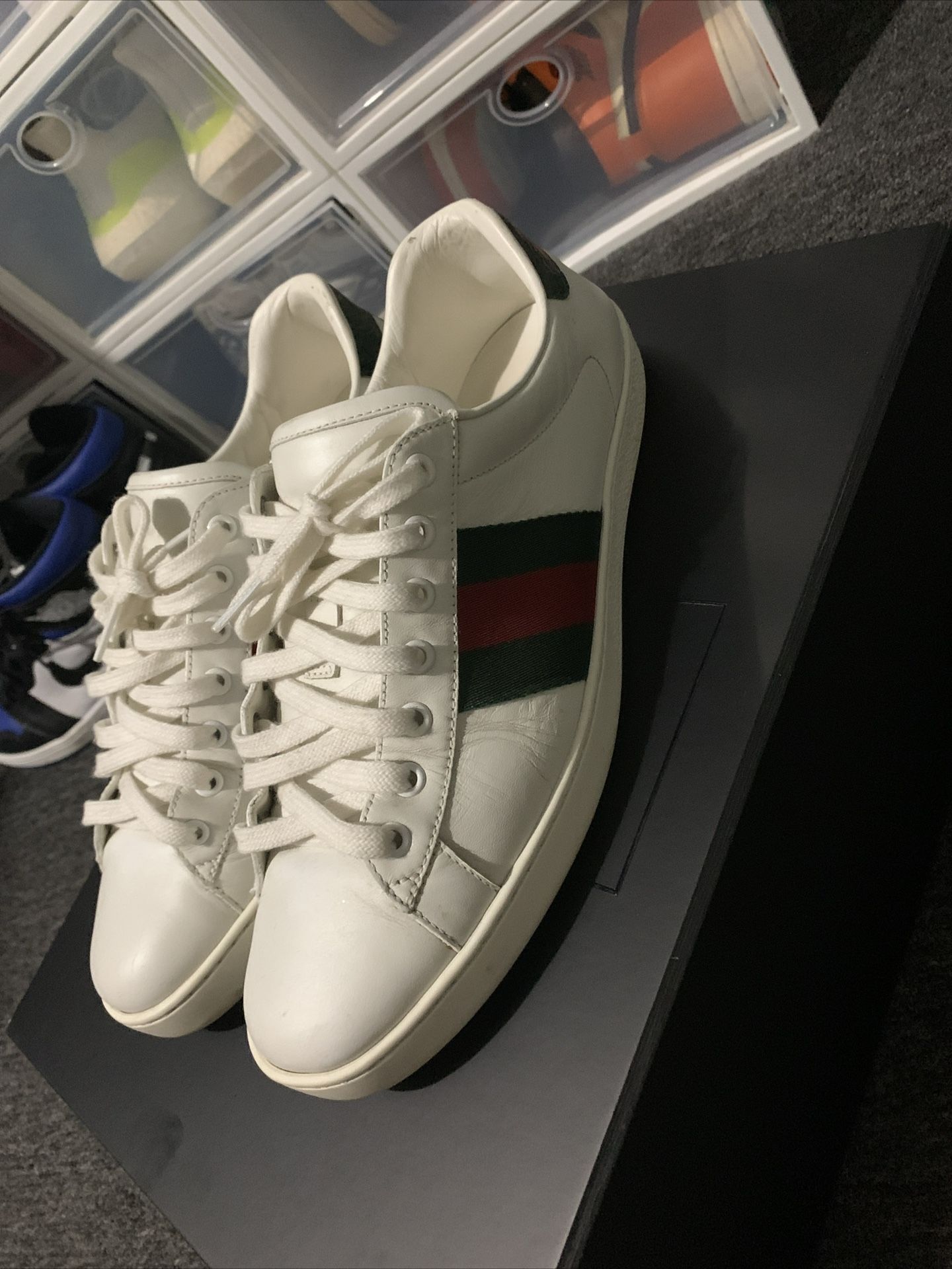 Gucci Ace