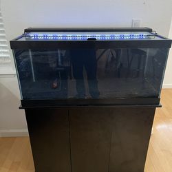 40 Gallon Aquarium Tank And Stand And Accessories