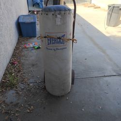 Everlast Heavy Bag