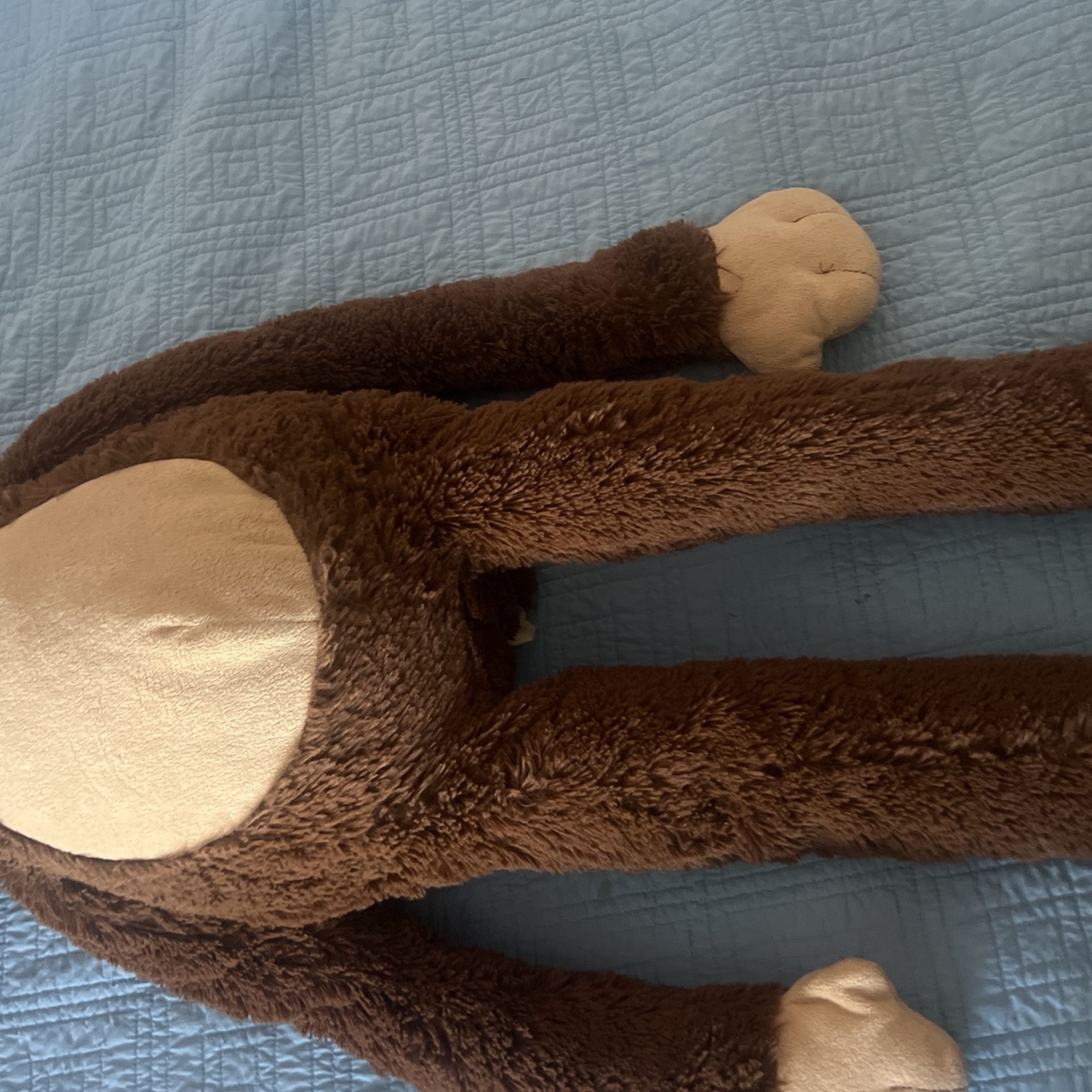 Monkey