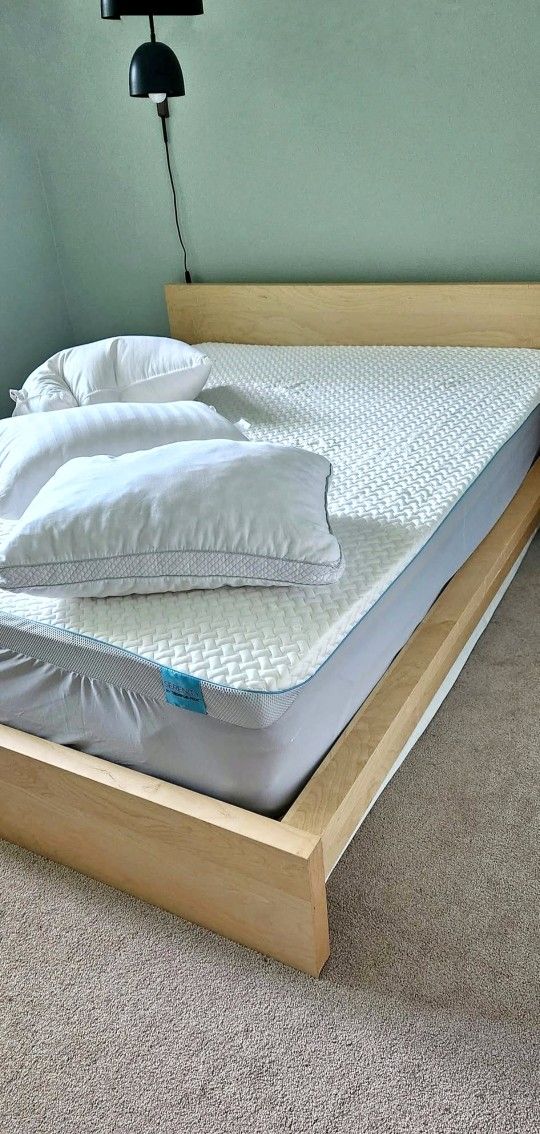 Newer Queen Ikea Malm Birch Bed Frame with DreamCloud Mattress