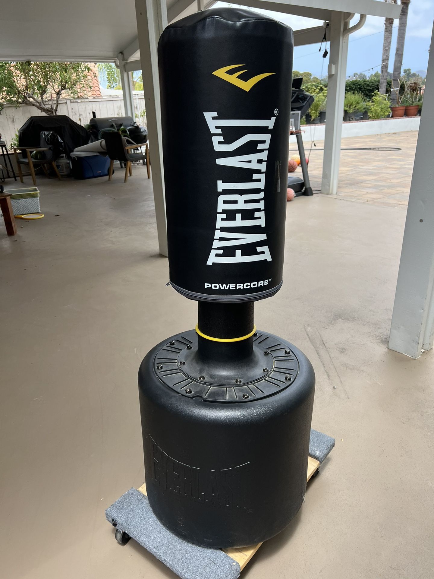 EverLast Punching Bag