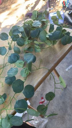 Long greenery