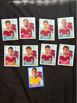 Qatar panini fifa stickers