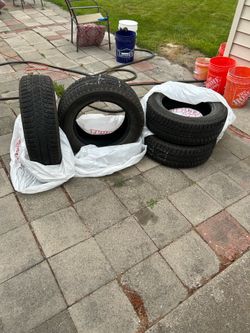 Bridgestone Blizak WS90
