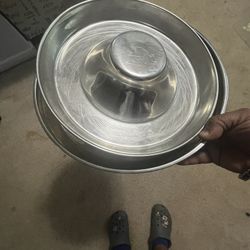 Puppy Feeding Bowls