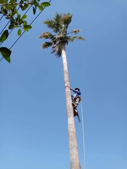Climber