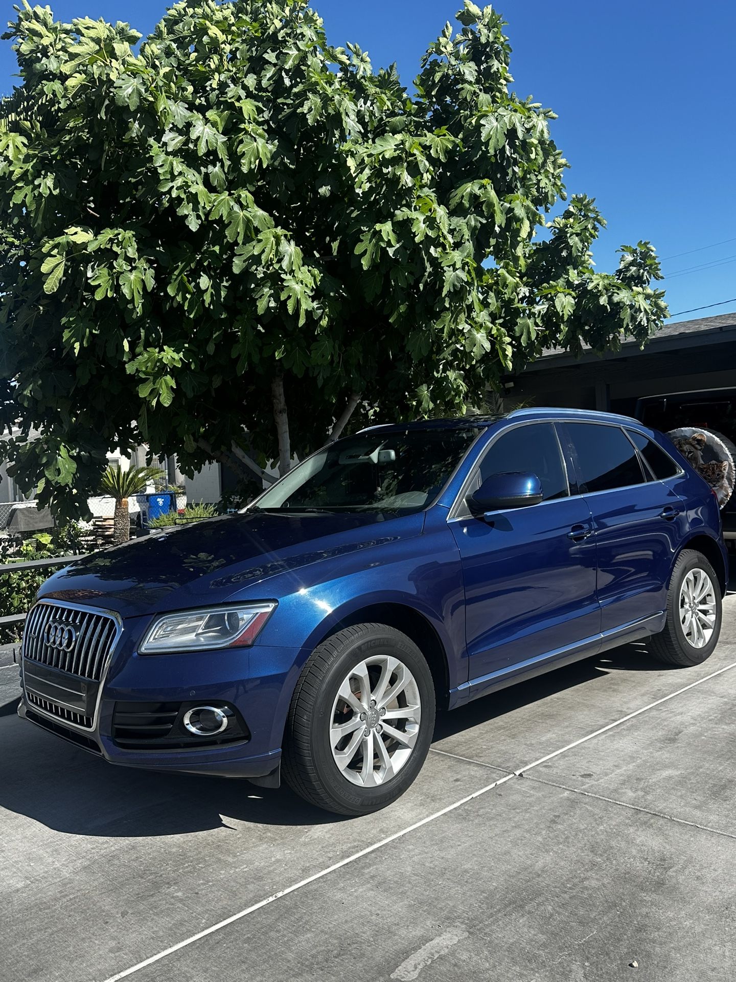 2013 Audi Q5