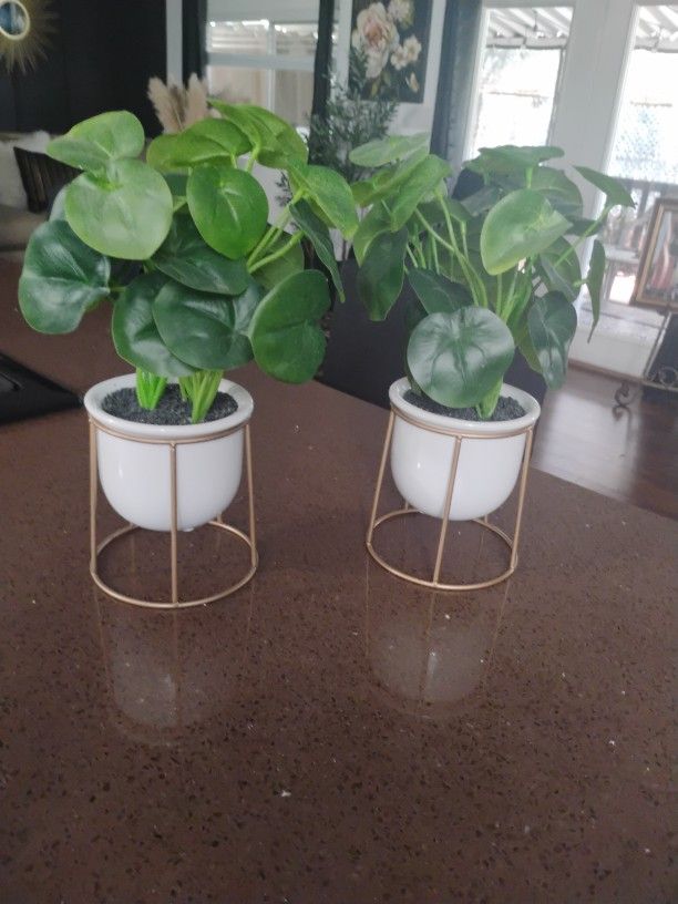 Faux Plants