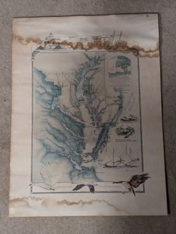 The Chesapeake Bay Map By Ann Sader 1987