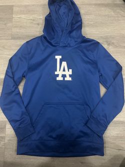 Brand teen hoodies- size 12-14/Adult Sm