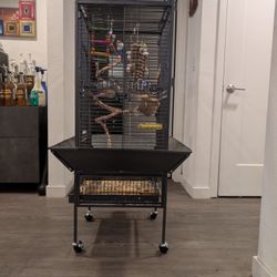 Love Bird And Cage + more