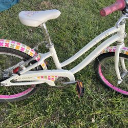Bella Giant Bicycle 